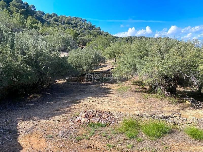 Foto 0a850a13-1b24-450a-8096-175ddc3a6b53. Finca rústica en Roques Daurades-L´Estany Ametlla de Mar (L´)