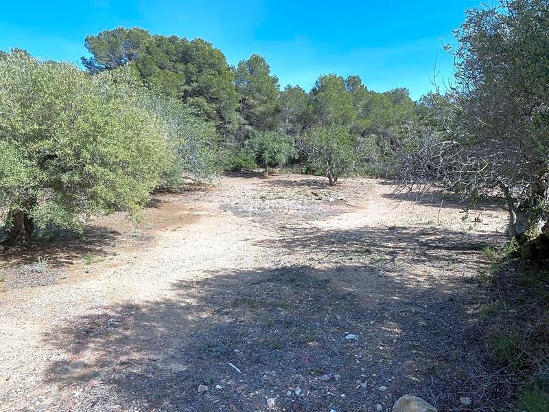 Foto 1094a960-7548-458c-ba88-f2eb1f1469e4. Finca rústica en Roques Daurades-L´Estany Ametlla de Mar (L´)
