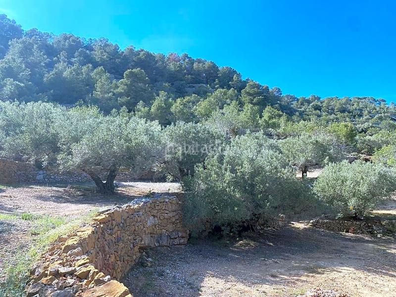 Foto 244ca6ed-6200-4a86-941c-11aefcb1f681. Finca rústica en Roques Daurades-L´Estany Ametlla de Mar (L´)