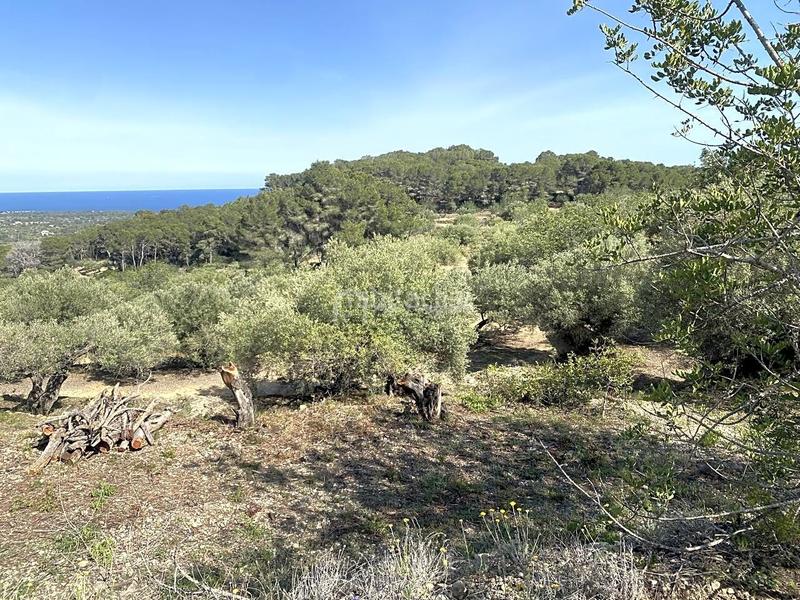 Foto 5f75ab50-ef5d-4380-9a3f-714aeca1eeba. Finca rústica en Roques Daurades-L´Estany Ametlla de Mar (L´)