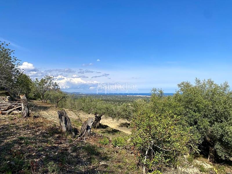 Foto 6a237551-4a98-4c1f-bc96-46a3a3d97d5e. Finca rústica en Roques Daurades-L´Estany Ametlla de Mar (L´)