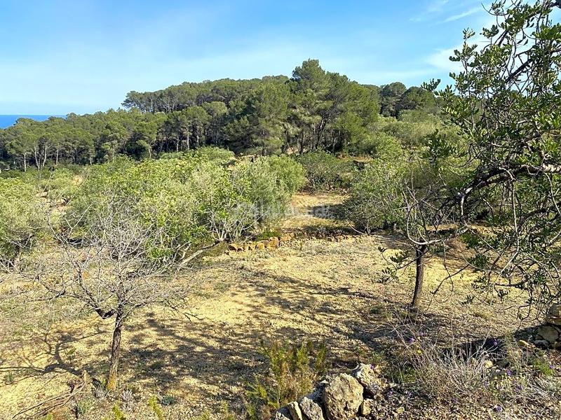 Foto 70c13ae4-31a7-4979-be4d-9a1fb4e82b08. Finca rústica en Roques Daurades-L´Estany Ametlla de Mar (L´)