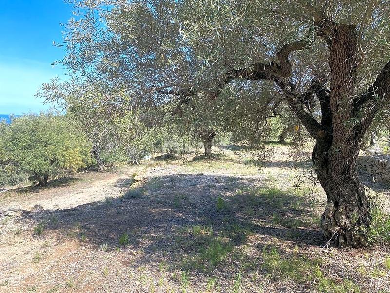 Foto 93d24503-9031-4725-a06e-c5805ea579ea. Finca rústica en Roques Daurades-L´Estany Ametlla de Mar (L´)