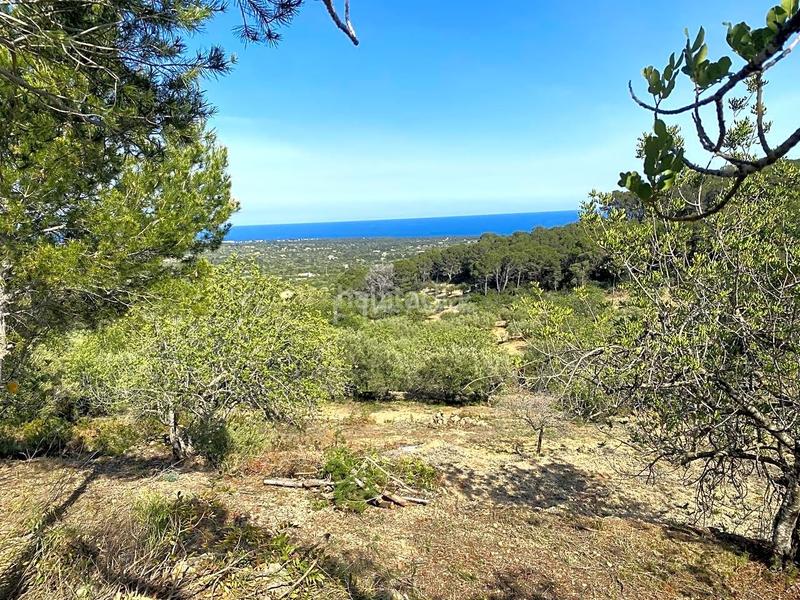 Foto 99390566-d677-47a5-9c2b-bec1034b5552. Finca rústica en Roques Daurades-L´Estany Ametlla de Mar (L´)
