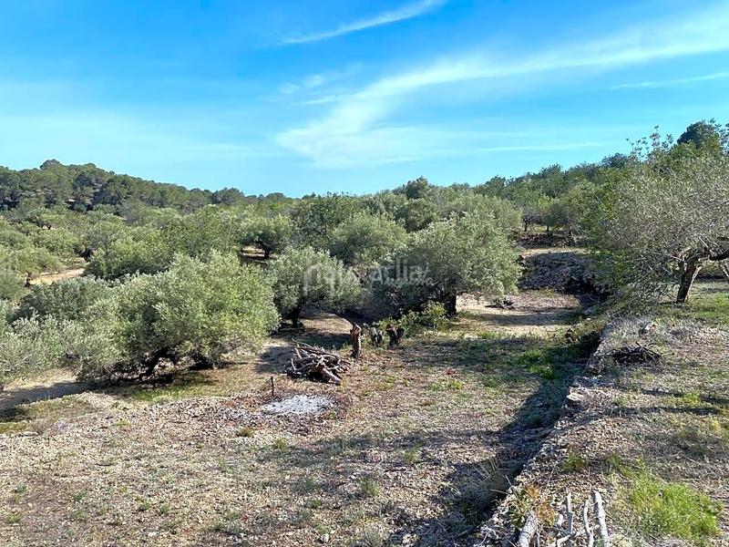 Foto b936149e-d25a-4c32-93e5-40a605c280bb. Finca rústica en Roques Daurades-L´Estany Ametlla de Mar (L´)