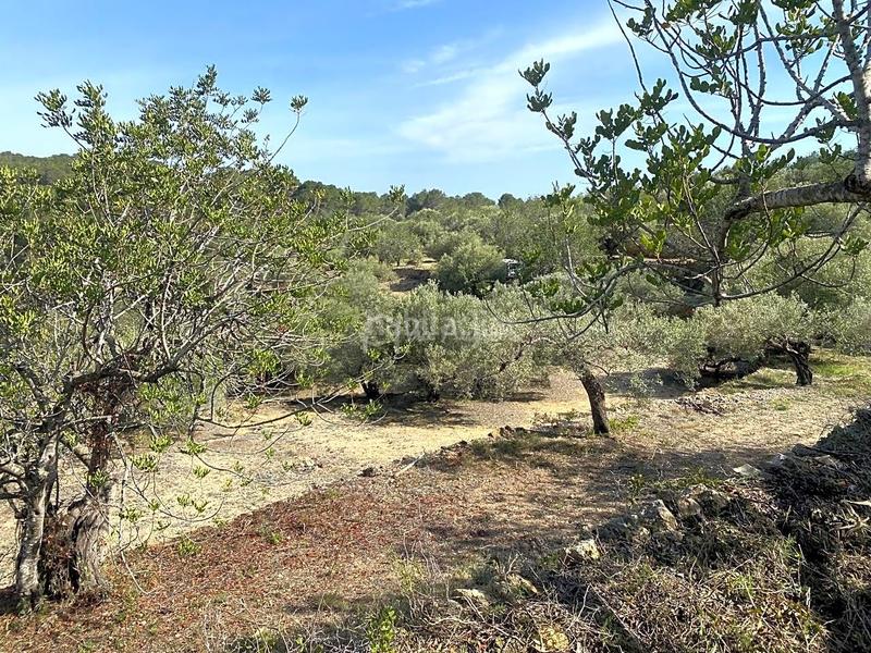 Foto c4a95d84-44c2-49ae-90de-ec4f5fc970c3. Finca rústica en Roques Daurades-L´Estany Ametlla de Mar (L´)