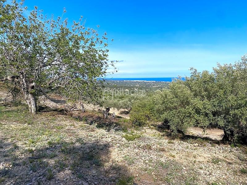 Foto c653b6dc-a3cc-4ae5-a4bd-f0666fa60ad9. Finca rústica en Roques Daurades-L´Estany Ametlla de Mar (L´)