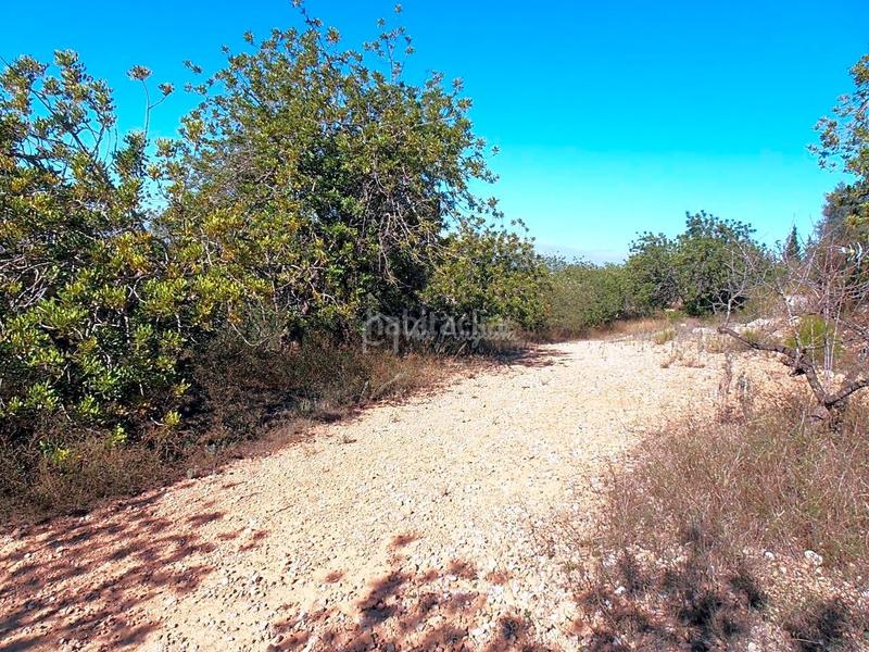 Foto 4ef6f735-39d7-41cb-a0a4-c0f941ee29a1. Finca rústica en Bítem Tortosa