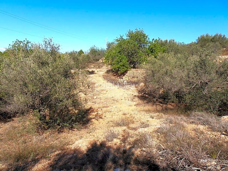 Foto 7752ba05-f6a8-4314-9572-8421a69d917a. Finca rústica en Bítem Tortosa