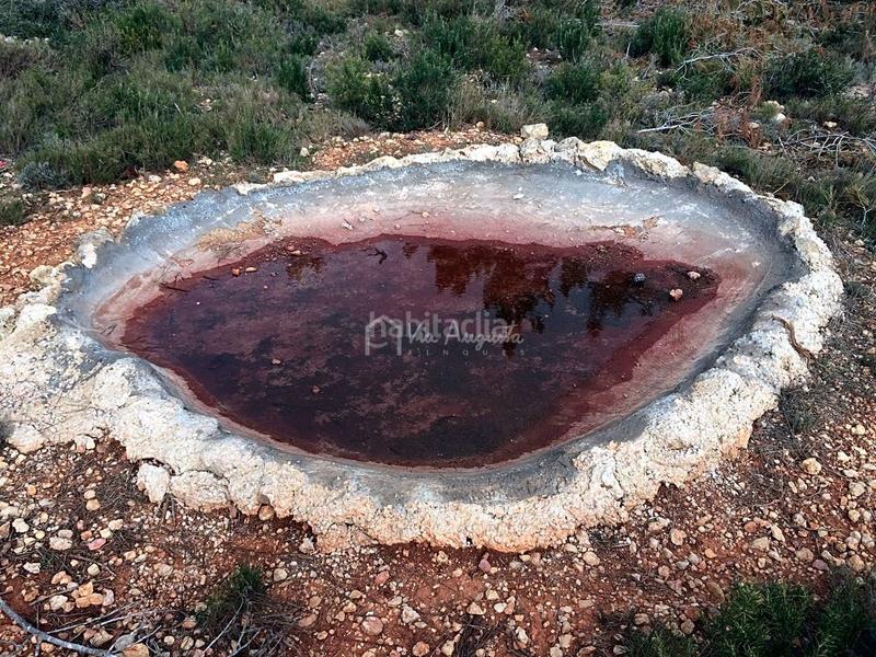 Foto 5762408f-1407-4933-9905-1904133ed10e. Fondo rustico in Perelló (El)