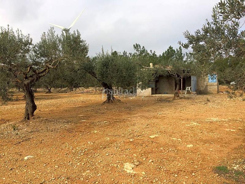 Foto 737dbad0-26d3-4f03-ba51-aef9878ab6d1. Fondo rustico in Perelló (El)