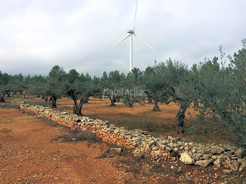 Foto 3c7596ca-ad70-4c80-aeeb-74b173a0f08d. Rural plot in Perelló (El)