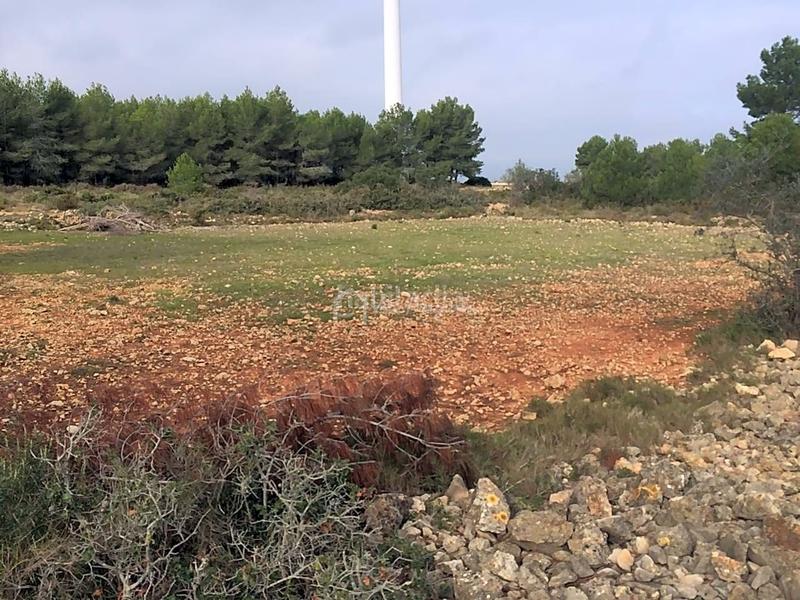 Foto 56282281-3929-46e2-ba9c-df6cca8f5837. Rural plot in Perelló (El)