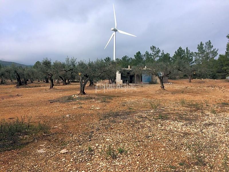 Foto c2ac1ec5-52dd-4b55-bfb3-d260b3fdf7e9. Rural plot in Perelló (El)