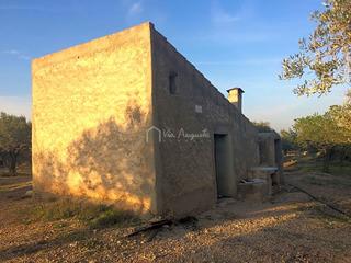 Rural plot  Burga