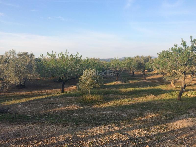 Foto 525c9733-50d6-4c49-b009-2ff883f055bd. Finca rústica a Perelló (El)