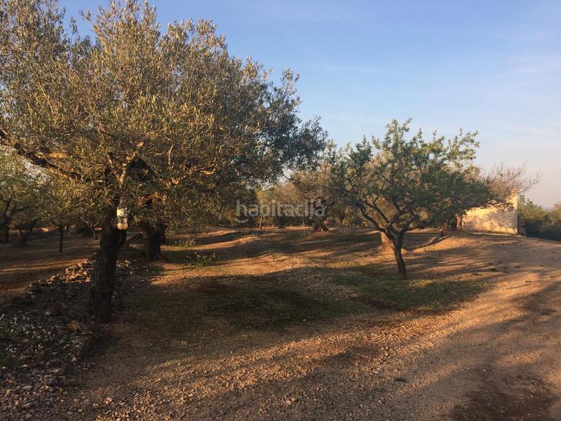 Foto 6ead0979-e5fa-42fc-b5a3-21d033f1e0a6. Finca rústica a Perelló (El)