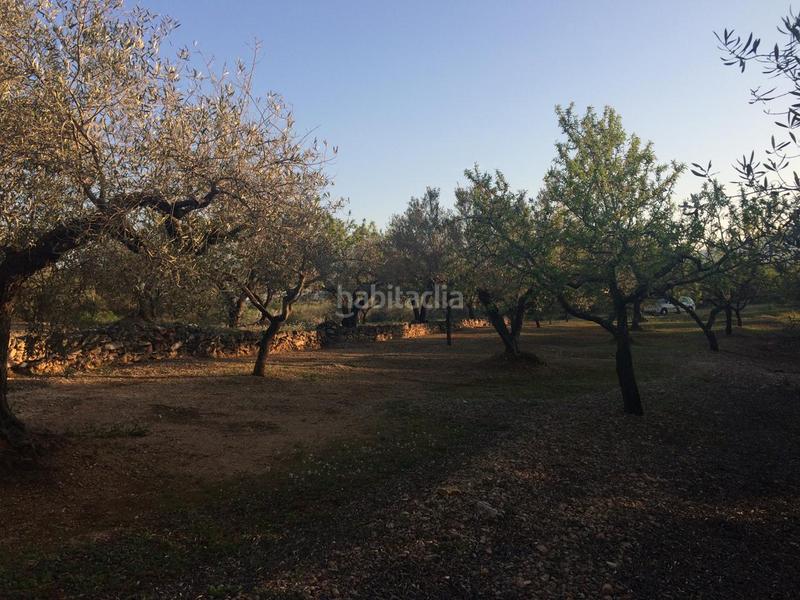 Foto 8ce1f9e9-93fb-4bcf-a0b8-842a5af34f53. Finca rústica a Perelló (El)