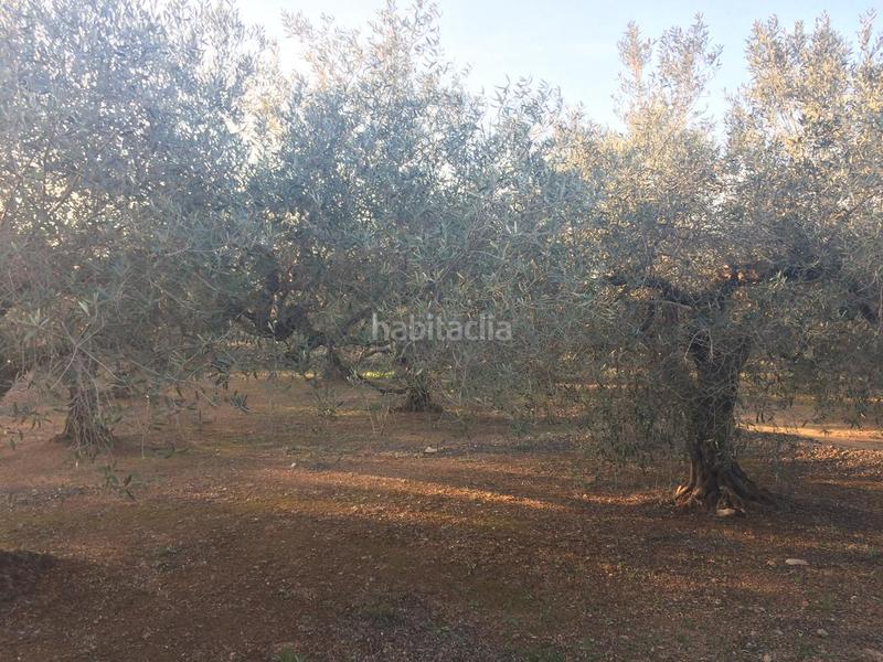 Foto b761a01b-69c2-4d6e-806e-4055c5569b68. Finca rústica a Perelló (El)