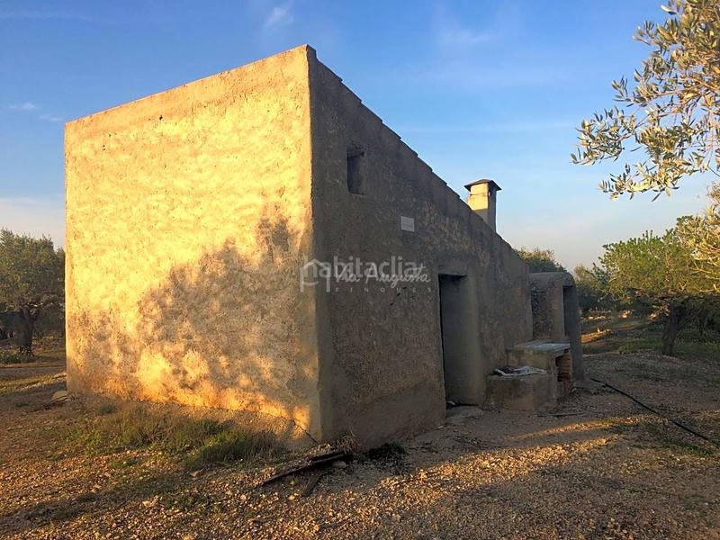 Foto b9e99ee6-e970-46ce-ac94-460592420574. Finca rústica a Perelló (El)