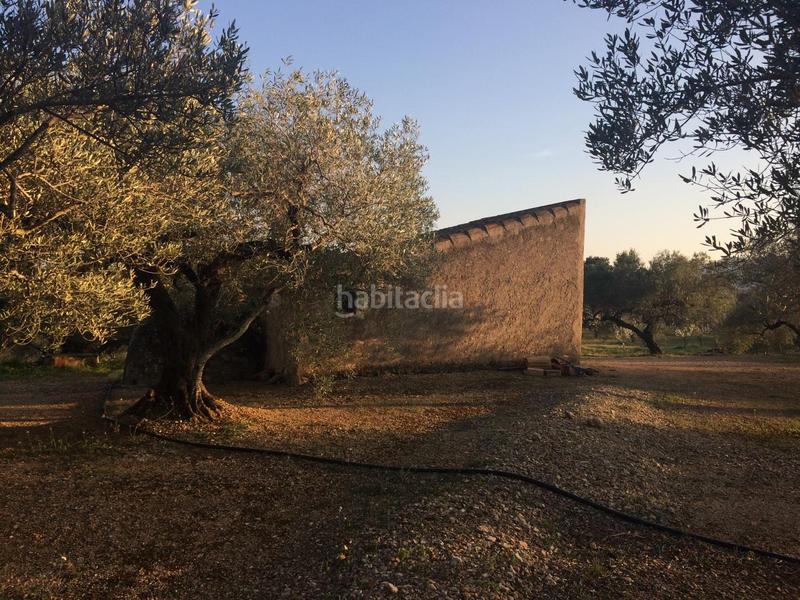 Foto cd3107b1-7814-450a-94ec-730367748901. Finca rústica a Perelló (El)
