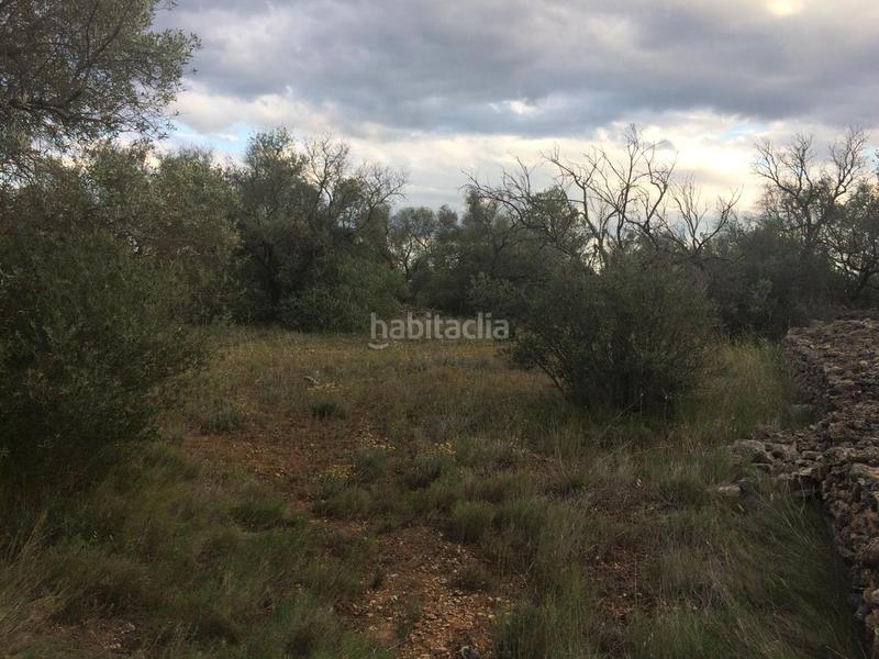 Foto 11ca44dc-f4b0-4693-9b0b-194b3447aba4. Finca rústica a Tivenys