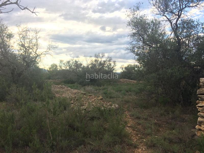 Foto 2cfba5b2-66f9-497e-8bd7-b5ac7c6c3bda. Finca rústica a Tivenys