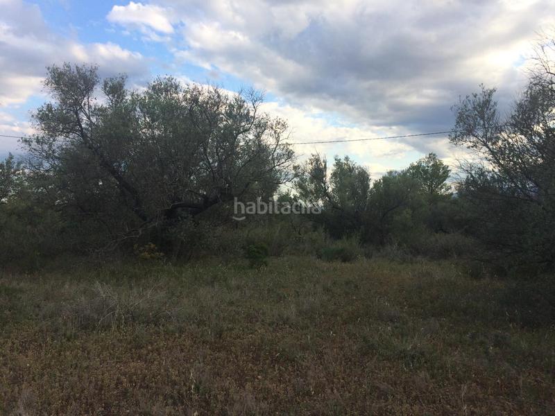 Foto 31b1c633-b57c-48e2-aa06-93db3d0415d0. Finca rústica a Tivenys