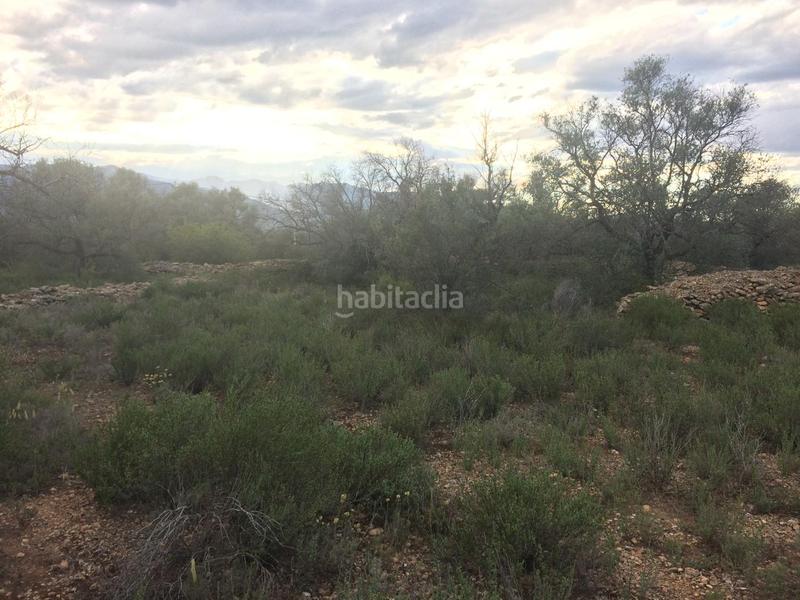 Foto 35556e70-3b01-4576-a29d-a85b873081ed. Finca rústica a Tivenys