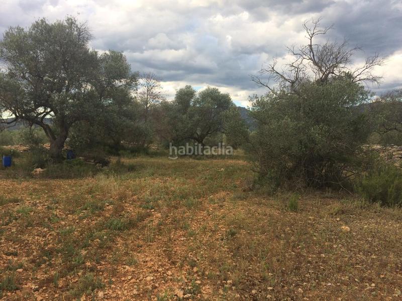 Foto 4b7a81e4-72bb-4ee5-adfd-b3054a1423cd. Finca rústica a Tivenys