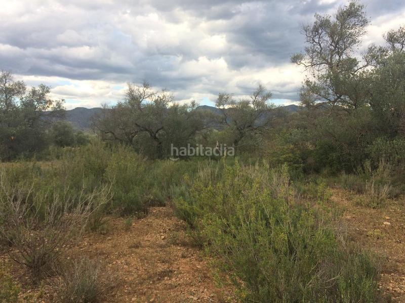 Foto 66ec42ca-0814-4ac6-9cfa-331c6d1c349b. Finca rústica a Tivenys