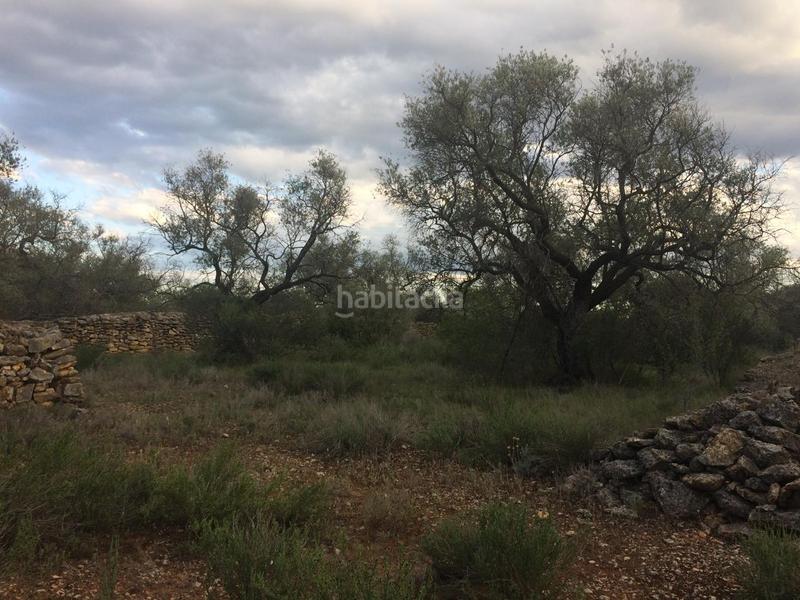 Foto 97a5ffb4-0736-4c61-9504-647a205397f6. Finca rústica a Tivenys