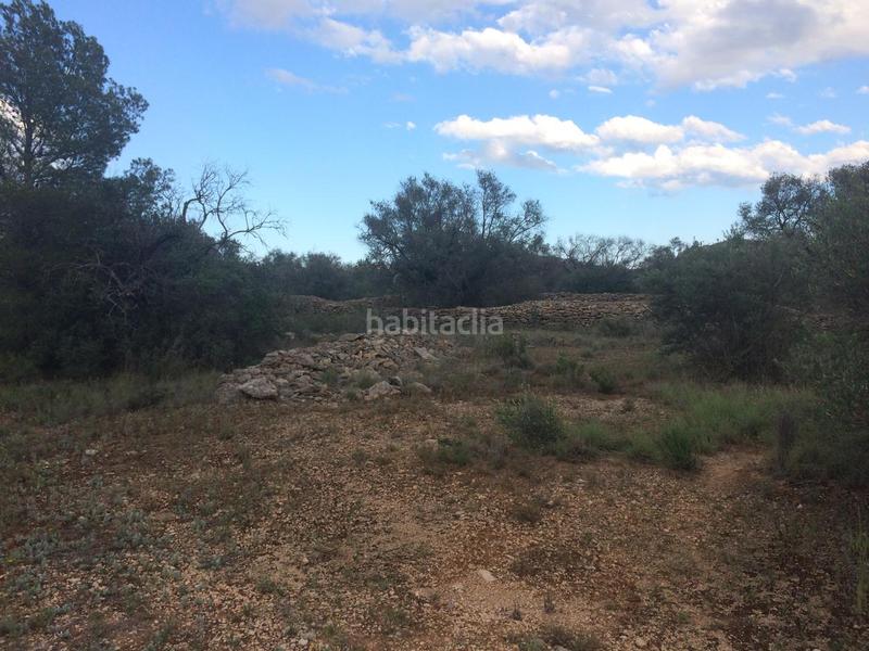 Foto b0ef2399-0d24-401c-846b-002010fa16c7. Finca rústica a Tivenys