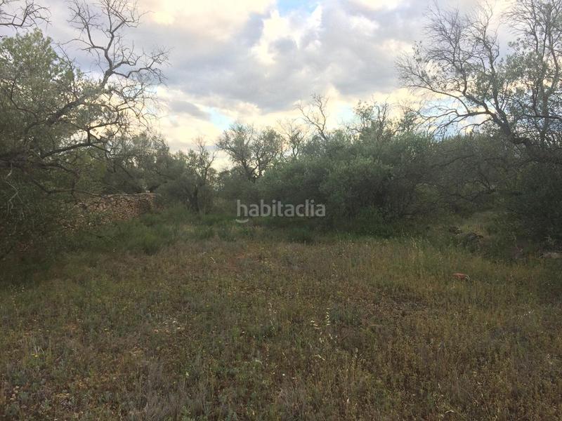 Foto b39aad17-9853-40ea-bba5-e119d116a5f8. Finca rústica a Tivenys