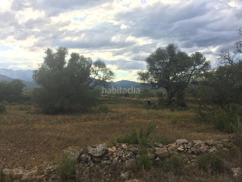 Foto c494fb30-3b24-4d2e-94af-b4be96d38c69. Finca rústica a Tivenys