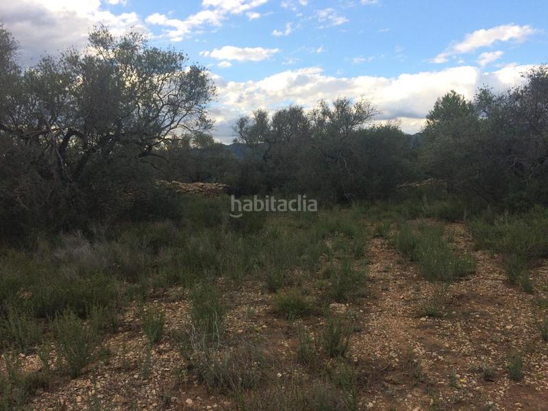 Foto e20039df-f041-408e-8161-bbf163f4a174. Finca rústica a Tivenys