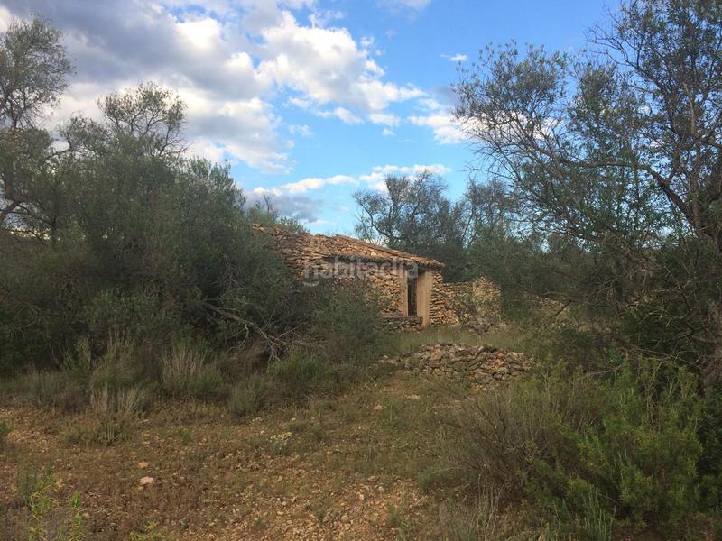 Foto 3e2a9129-408e-485e-b642-70da413a0288. Finca rústica en Tivenys