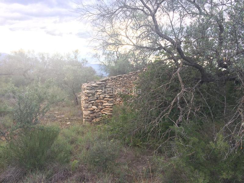 Foto 5f6a8662-5e97-4a67-b89b-8282805851c3. Finca rústica en Tivenys
