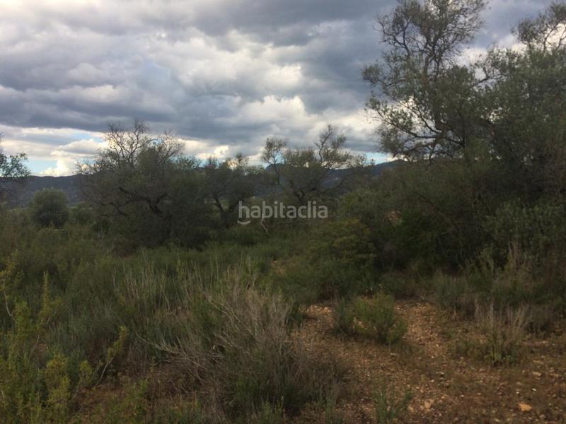 Foto a2b9a93d-ee5a-4d6a-9751-783c82fbc2e2. Finca rústica en Tivenys