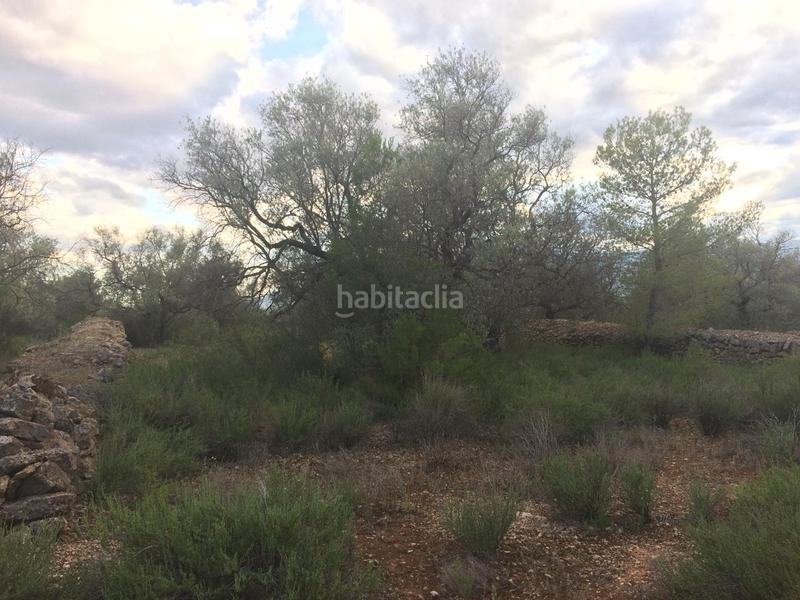 Foto be547ba2-ce90-4b74-8c18-c1c2a2a7ed12. Finca rústica en Tivenys