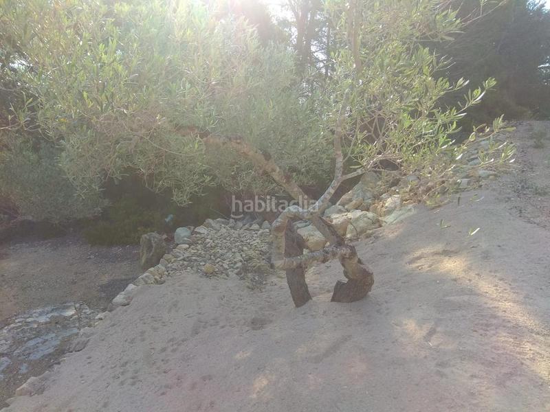 Foto 86e38a19-9ce9-45a4-8f36-c173bd2249a1. Propriété dans Perelló (El)