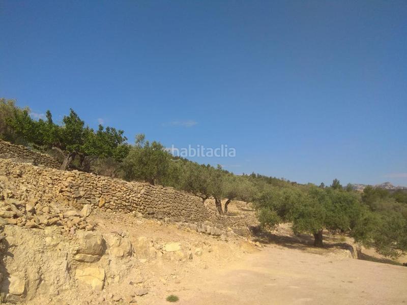 Foto 8a2d9426-8e37-4105-ae37-81d96085ce90. Propriété dans Perelló (El)