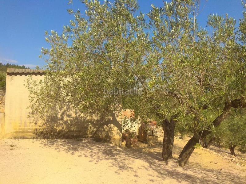 Foto c2cead6d-598a-4650-8a49-ec6e768dff6e. Propriété dans Perelló (El)