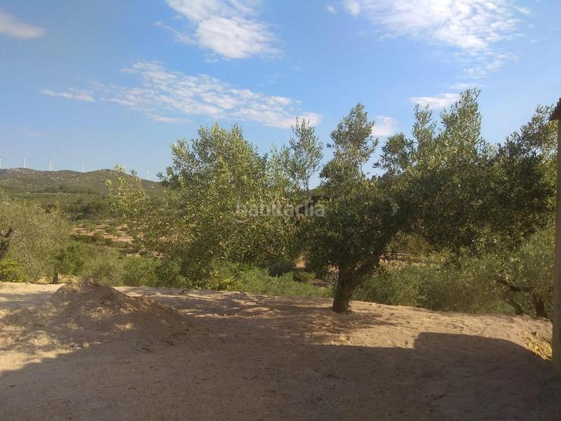 Foto 07910dcf-98ad-4f3d-9e82-bbbe03741700. Rural plot in Perelló (El)