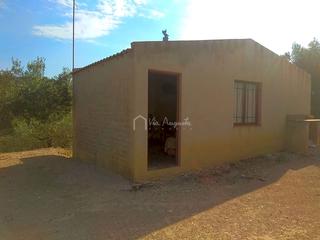 Rural plot  Comes