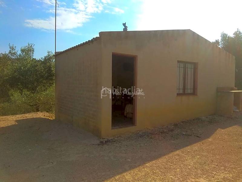 Foto 4c153266-19dd-457e-9a16-826eb8e00876. Rural plot in Perelló (El)