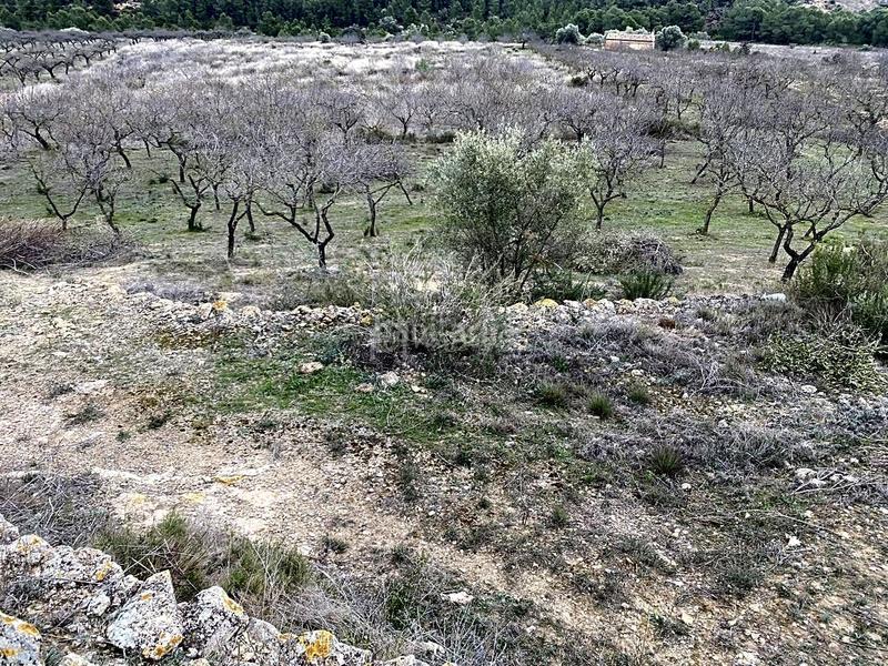 Foto 0b08e651-83ed-4efc-8e28-9c2eadb75186. Finca rústica a Rasquera