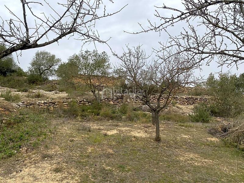 Foto 2f328507-2526-4a27-92e6-ee3b758266c4. Finca rústica a Rasquera
