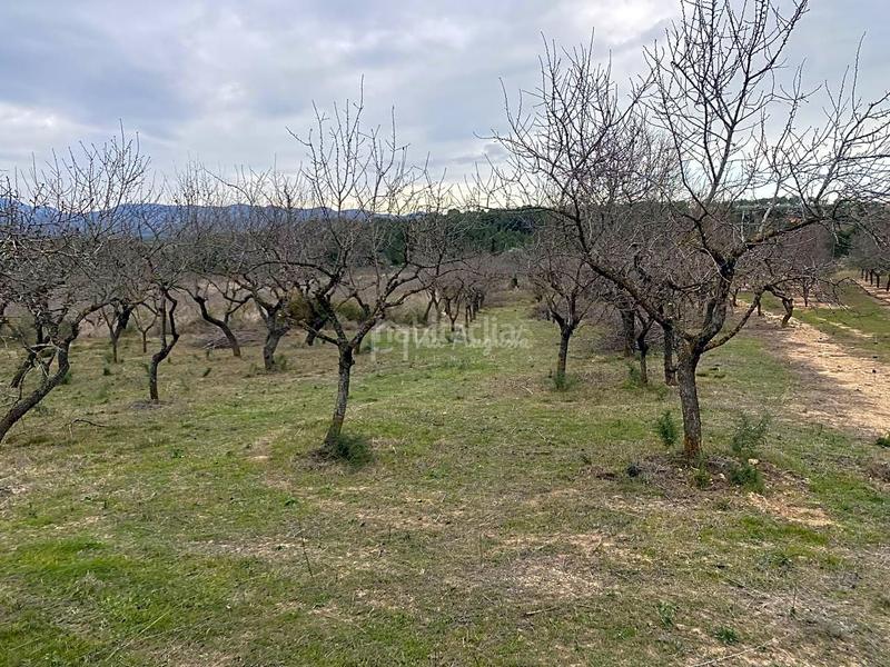 Foto 3fca8cb9-9331-4ac0-931d-60c450fd46f0. Finca rústica a Rasquera