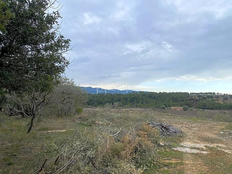 Foto 4039e734-cf83-44ef-b842-03545ba22073. Finca rústica a Rasquera